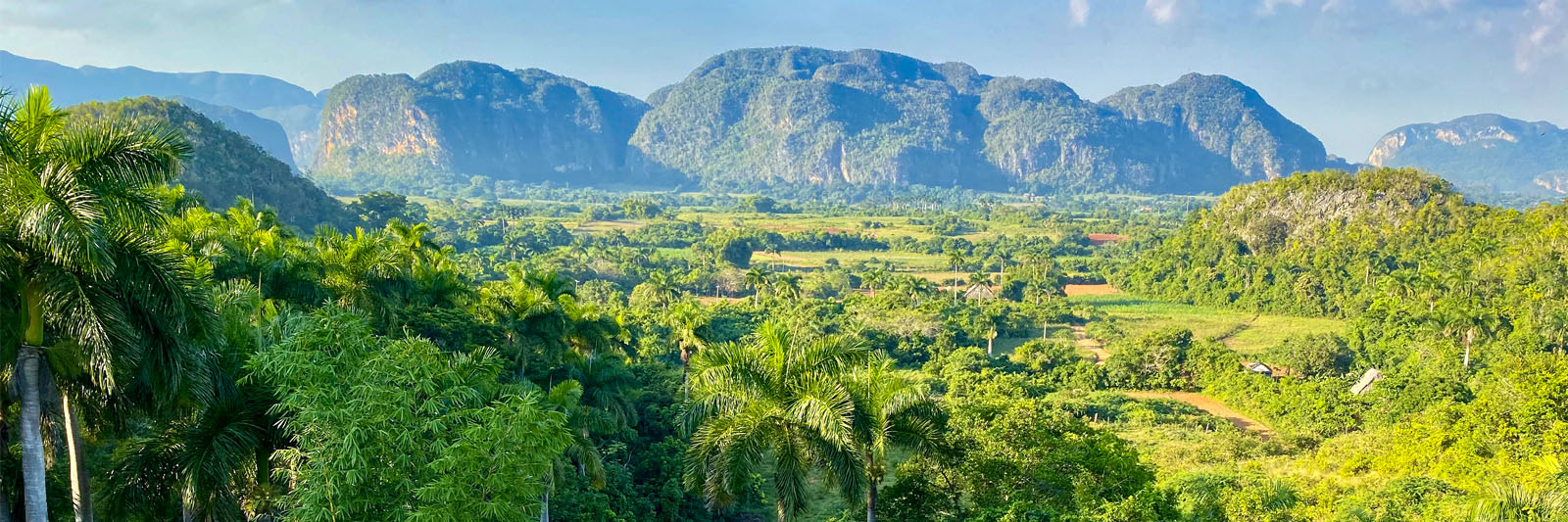 Viñales Valley Day Trip: Cigars, Horses & History - Art of the Itinerary