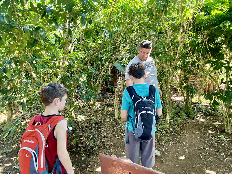 Boys learning about coffee beans on Arado Farm