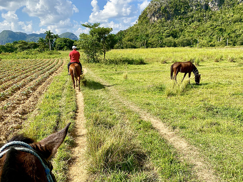 Riding horses through Vinales Valley