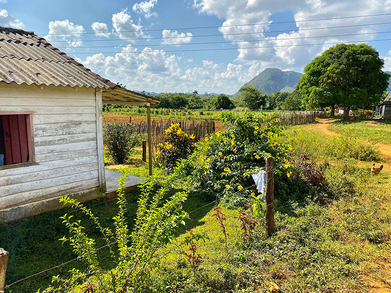 Small farm house with a magnificent view of Viñales