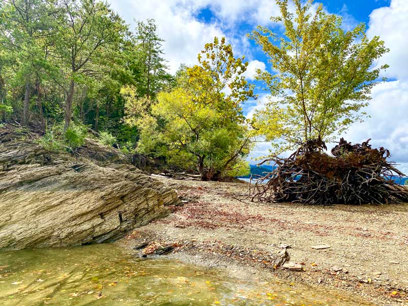 Island at South Holston Lake