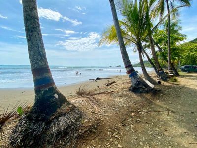 Beach and palm trees at Playa Dominical, Costa Rica