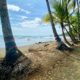 Beach and palm trees at Playa Dominical, Costa Rica