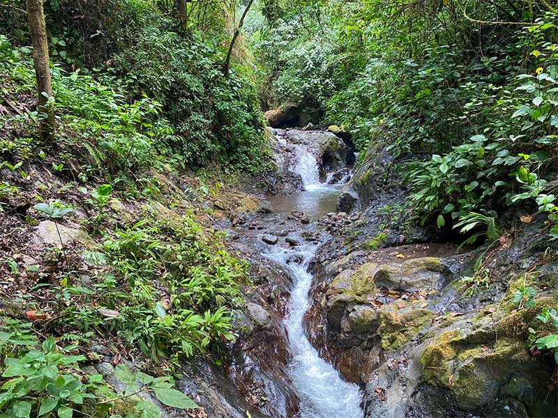 Waterfall inside Rainmaker Conservation Park