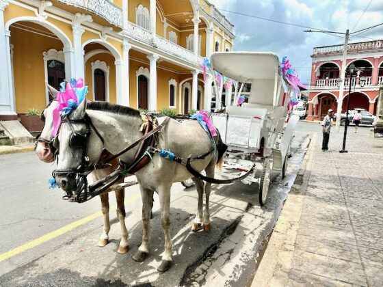 Horse and Buggy Granada Nicaragua